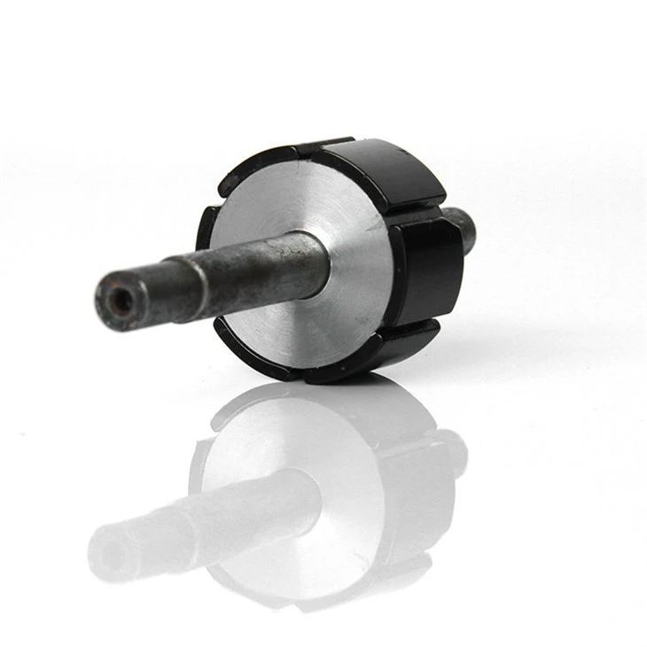 Magent Rotor Assembly3-b